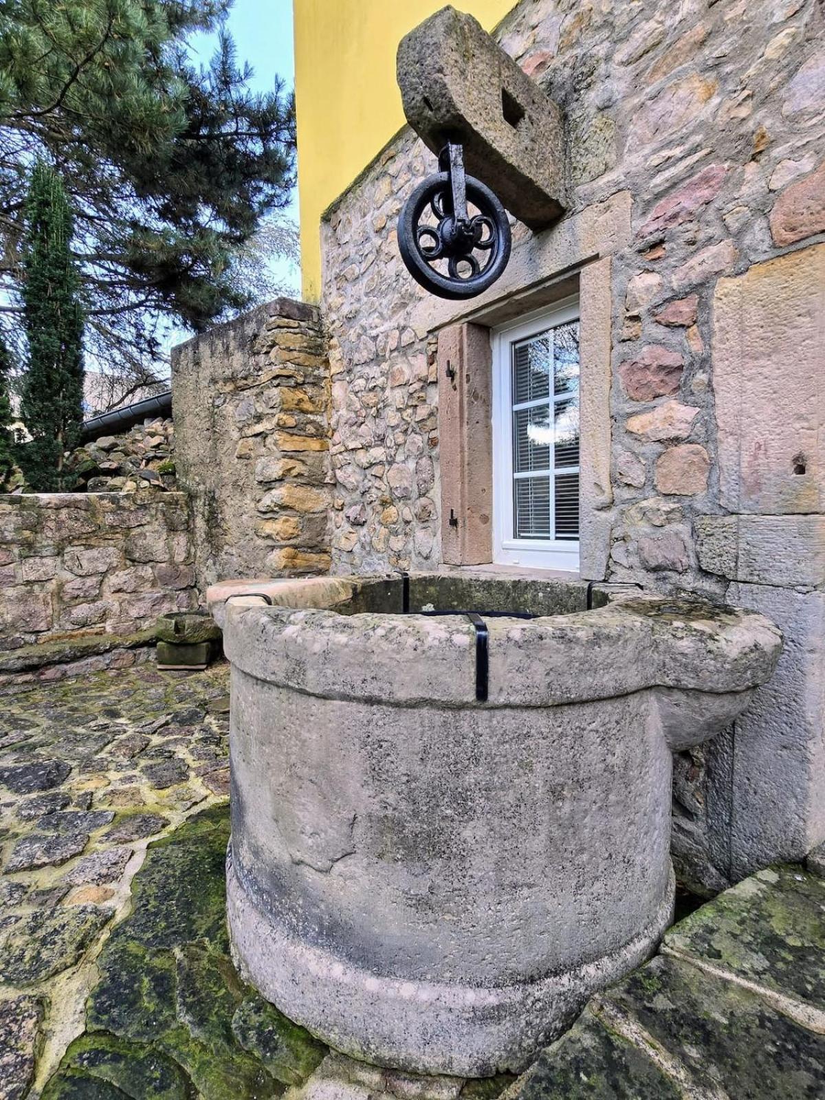 Studio Route Des Vins D 'Alsace Eichhoffen エクステリア 写真